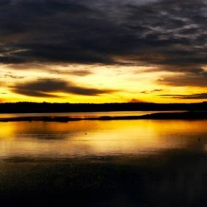 P1020447