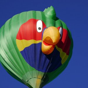 P1020163