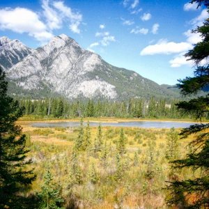 IMG 0533