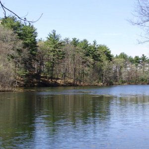 early spring vista