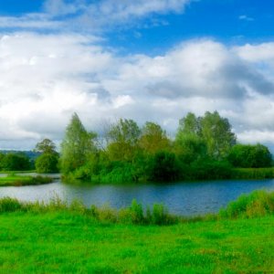 Trout Pond