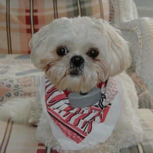 Buckeye Annie 1http://www.seniorforums.com/album.php?albumid=345&attachmentid=29049