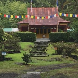 buddhtemplehttp://www.seniorforums.com/album.php?albumid=345&attachmentid=29125