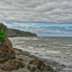 A Windy Day