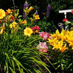 Spring 2016