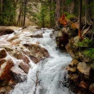 The Basin