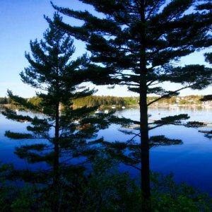 Southwest Harbor, Maine.  Early morning.