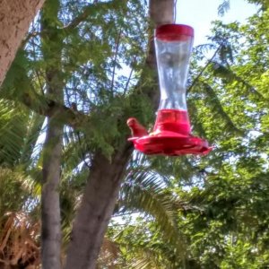IMG 20160401 153753