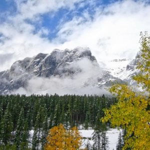 IMG 0674 (1)