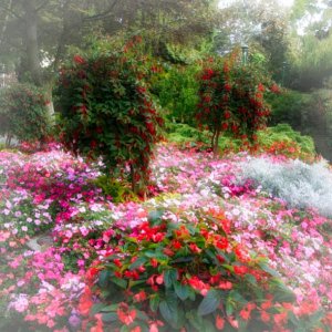 Beacon Hill Park