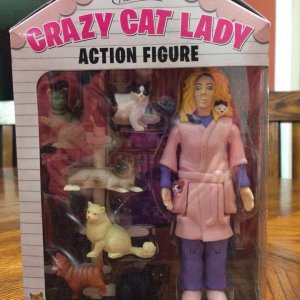 crazy cat lady