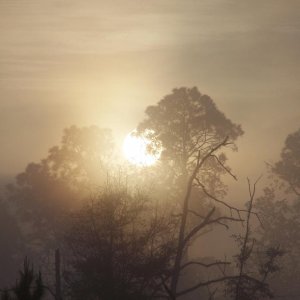 sunrise in a blind