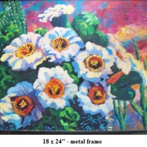 cactus flowers (Marg)