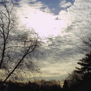 a early springby thelake