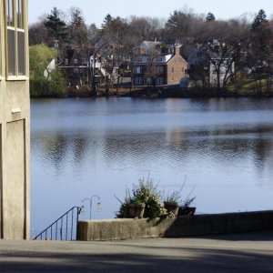 a beautiful angle shot of a pond