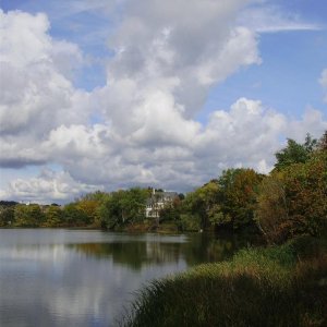 a beautiful clouds at the pond 3 lg