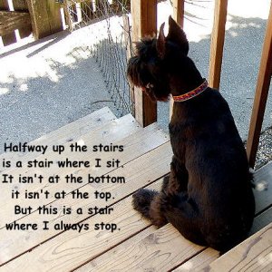 Favorite step to sit