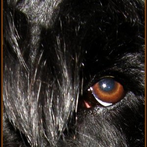 star saffire eye