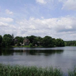 a beautifu summer shot pond sm shot