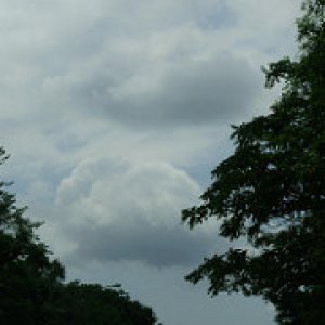 a beautiful cloud formation through trees sm shot