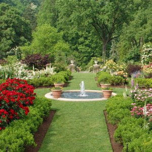 a garden VB