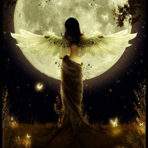 a good night pic moon and faeries
