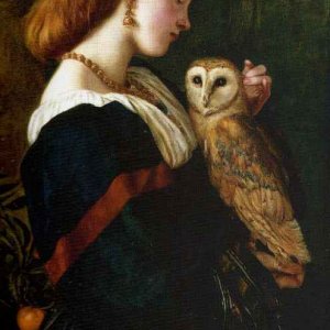 a a owl (the) valentine cameron princep date Q
