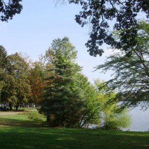 a a a a early autumn colorful trees wide