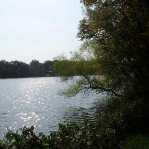 a a a a early autumn sunlight on ripples