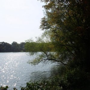 a a a a early autumn sunlight on ripples B