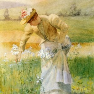 a a a a de scott eveans picking wildflowers