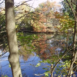 a a a a autumn reflections 2 B