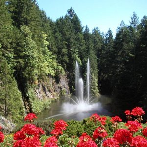 Butchart gardens 002