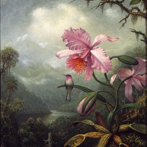 a a a a art query martin johnson meade