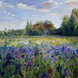 0 0 art easton, timothy evening in the iris field