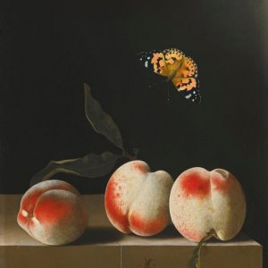 0 0 art art adriaen coorte three peaches on a stone ledge with a painted butterfly 1665 1707