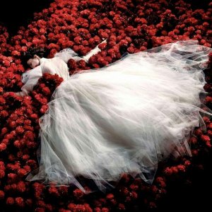 0 0 art good night red flowers