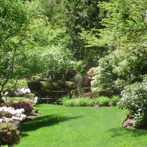 0 0 0 0 a a b b blossoms garden zen