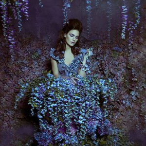 0 0 0 0 a a b b good night purple flowers