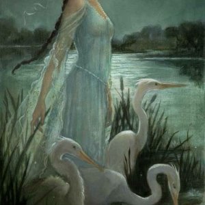 0 0 0 0 a a b b good night swan moon