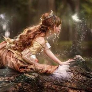 0 0 0 0 a a b b good night faeries in wood