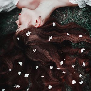 0 0 0 0 a a b b good night meadow flowers