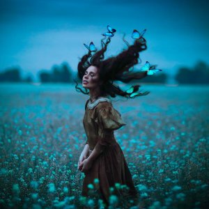 0 0 0 0 a a b b good night blue butterflies
