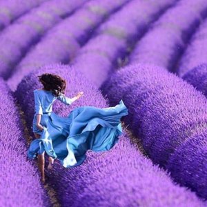 0 0 0 0 a a b b follow me in blue