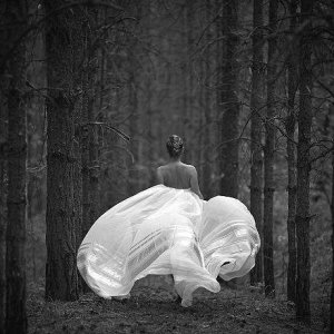 0 0 0 0 a a b b good night bw forest path