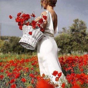 0 0 0 0 0 a a b b bo morning flowers in red