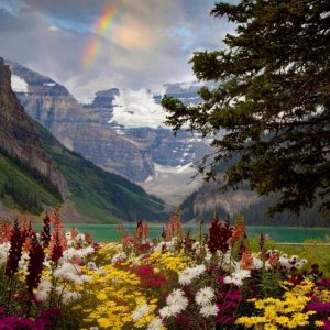0 0 0 0 a a b b follow me flowers