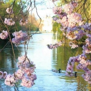 0 0 0 0 a a b b follow me waterway 2