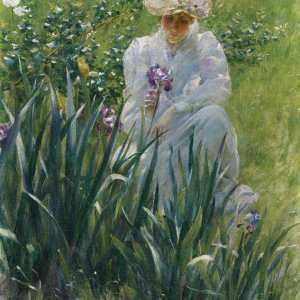 0 0 0 0 a a b b charles courtney curran the Iris