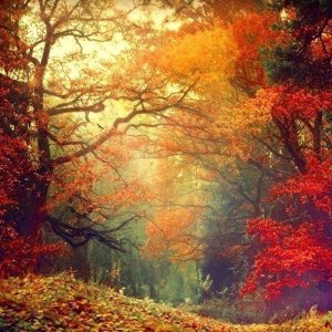 0 0 0 0 a a b b follow me autumn 2